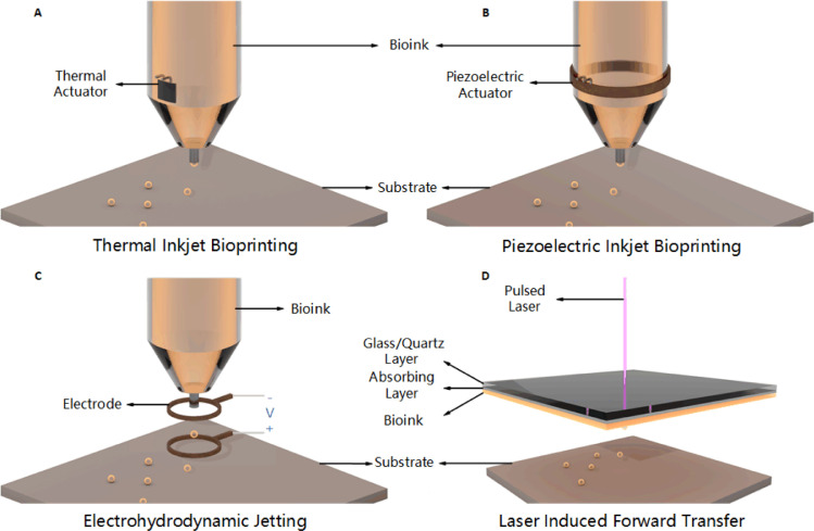 Fig. 12