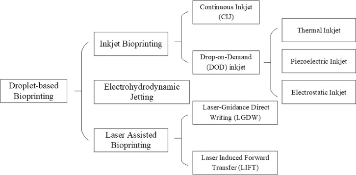 Fig. 11