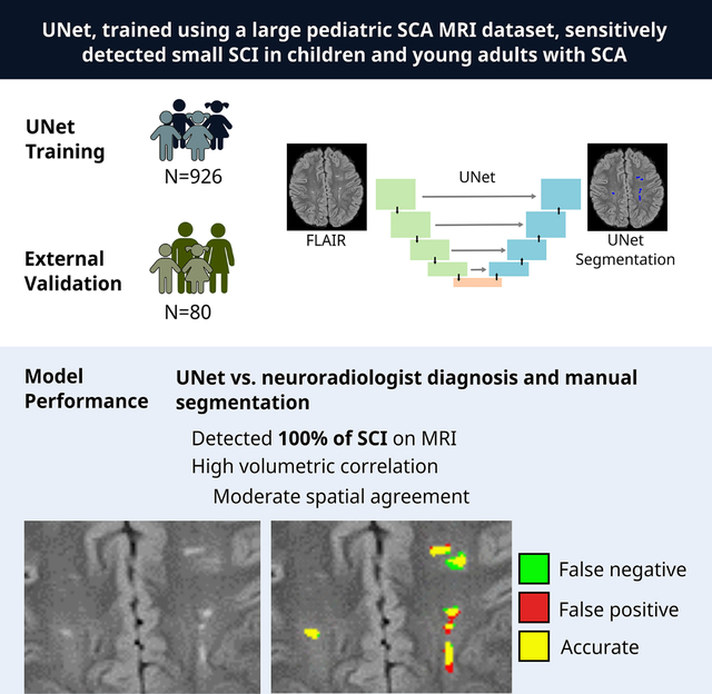 graphic file with name nihms-1908362-f0001.jpg