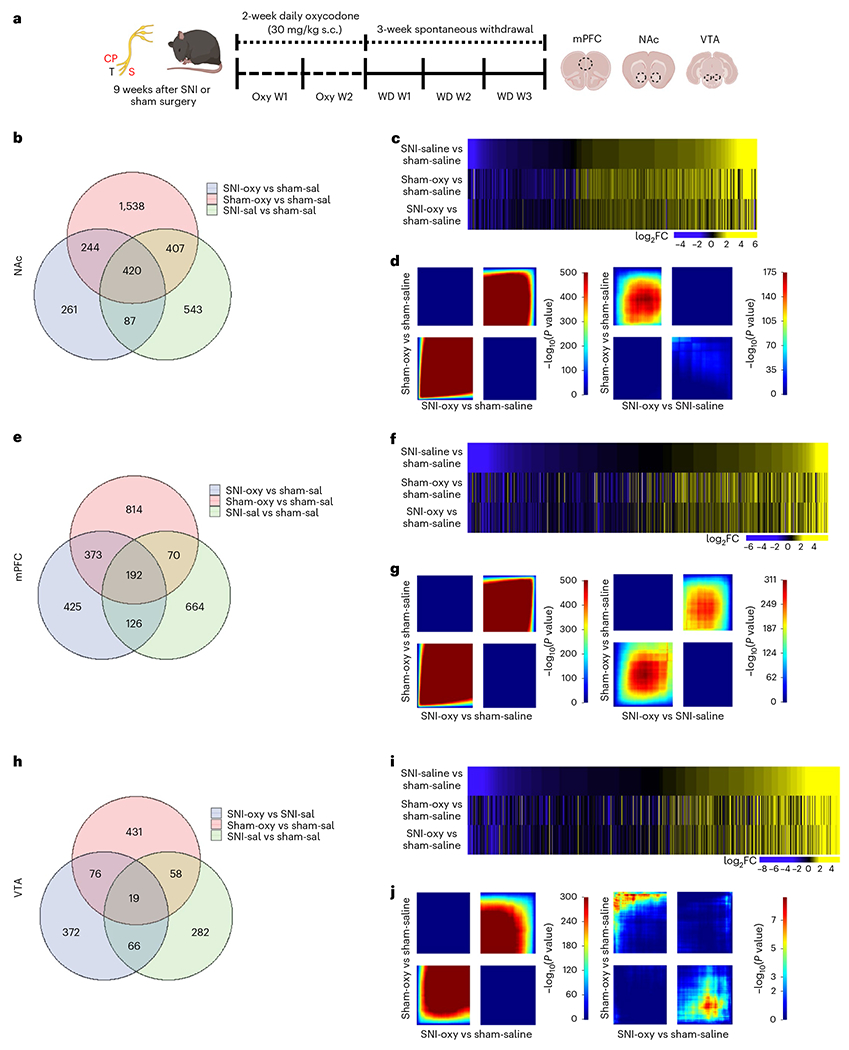 Fig. 3 |