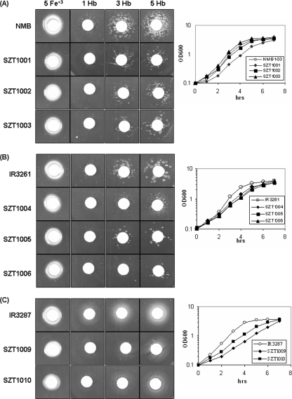 FIG. 3.