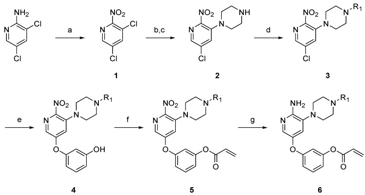 Scheme 1