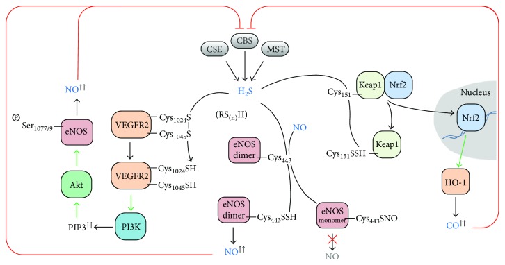 Figure 14