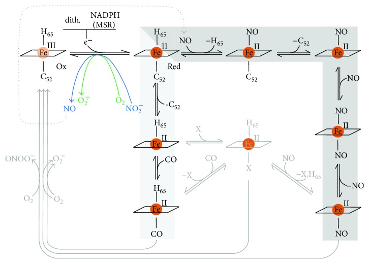 Figure 13