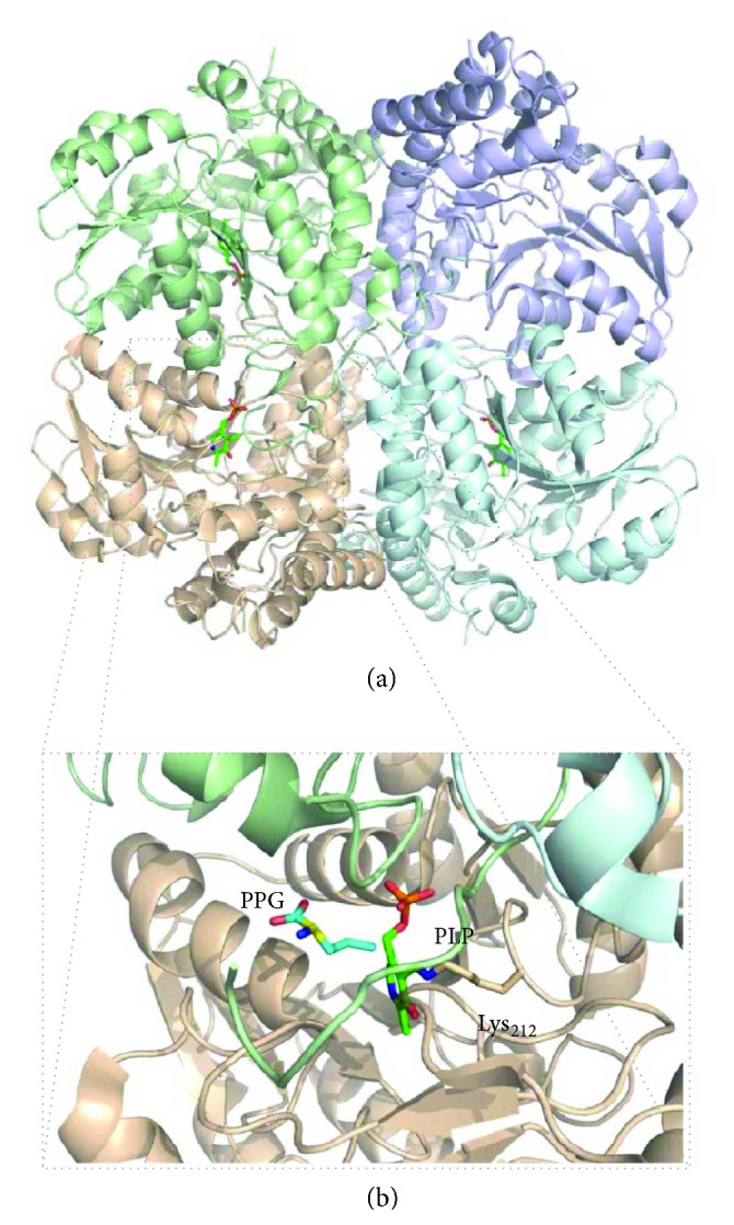 Figure 5