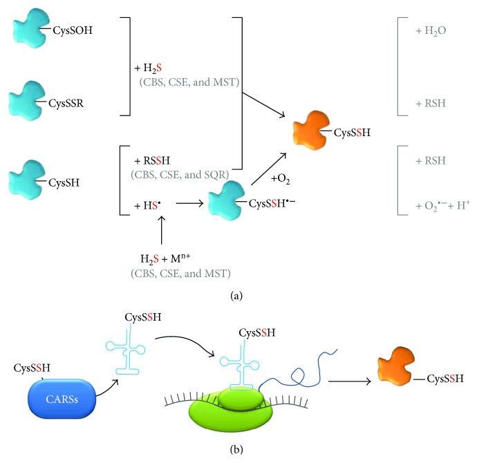 Figure 11