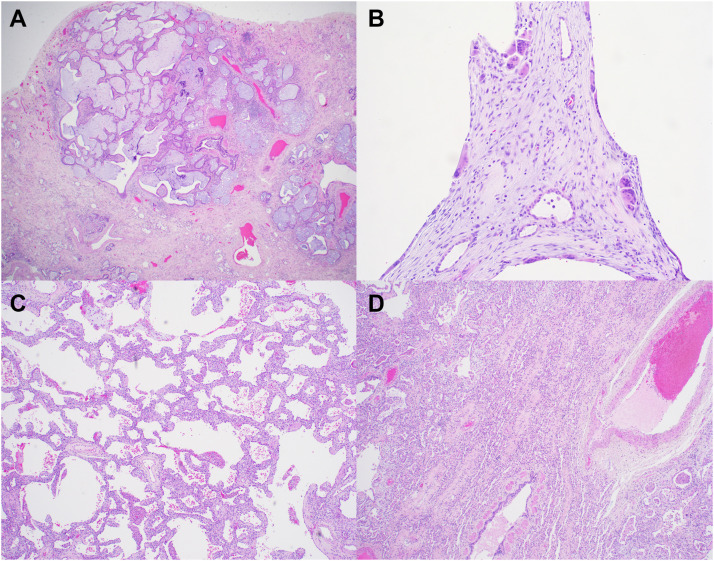 Figure 2