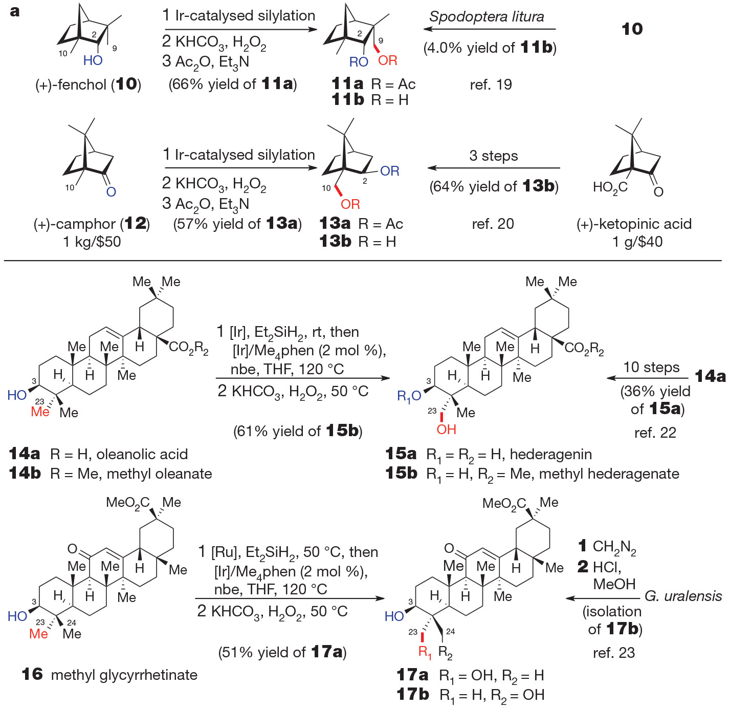 Figure 3 ∣