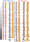 Extended Data Figure 1: