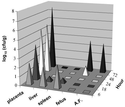 FIG. 1.