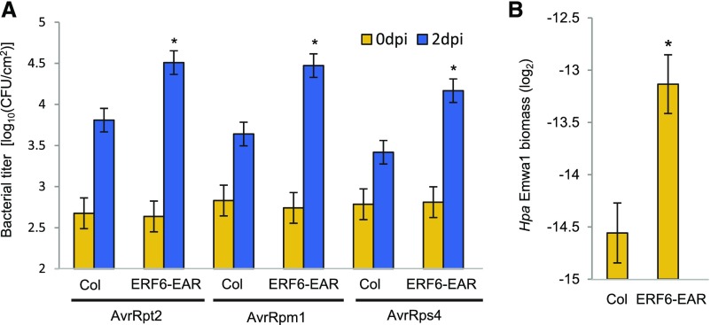 Figure 13.