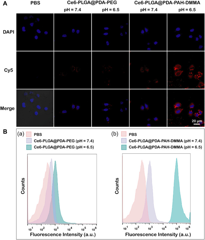 FIGURE 4