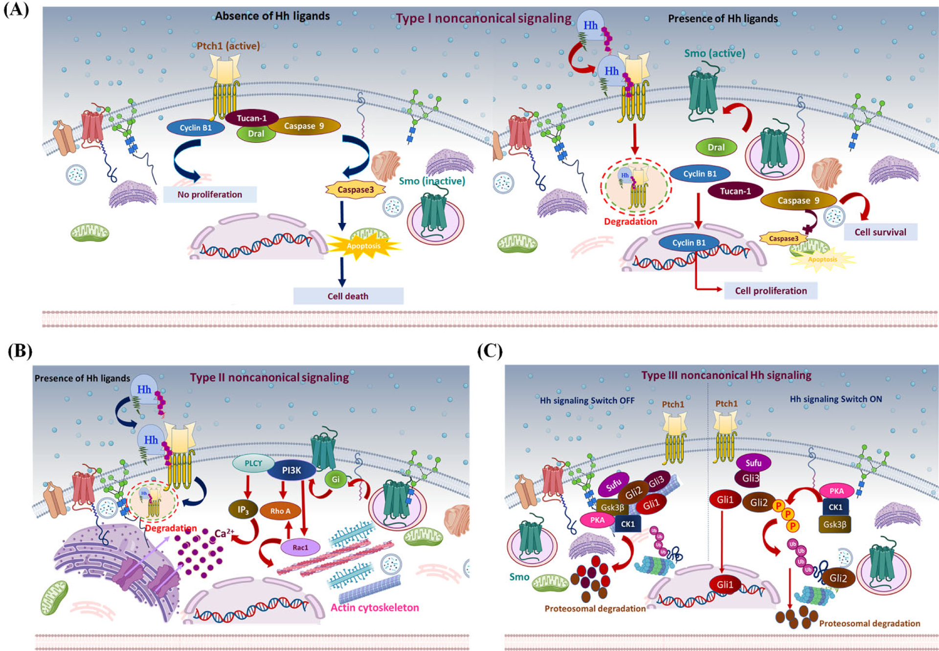 Figure 3: