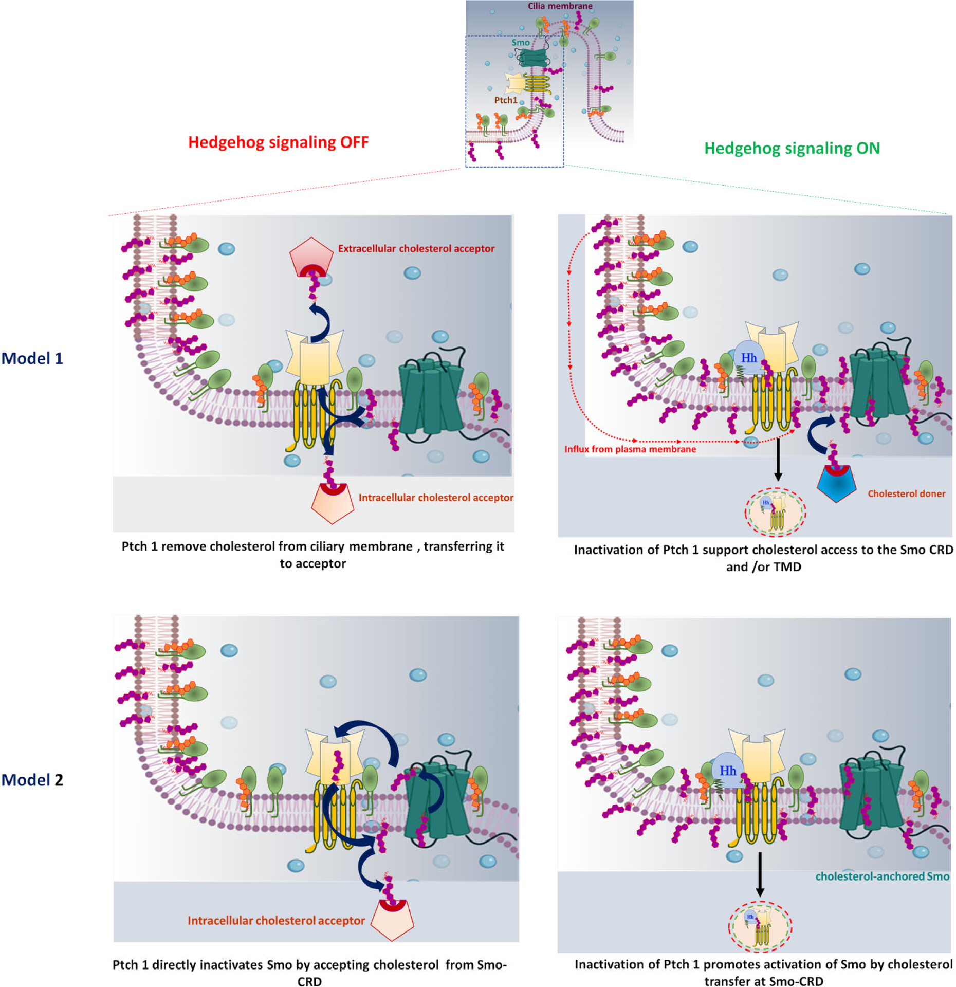 Figure 6: