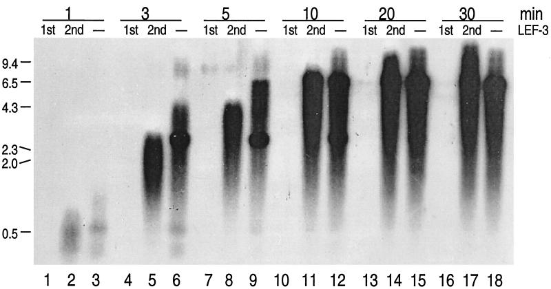 FIG. 8