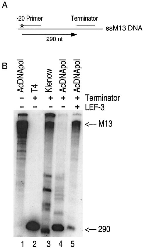 FIG. 6