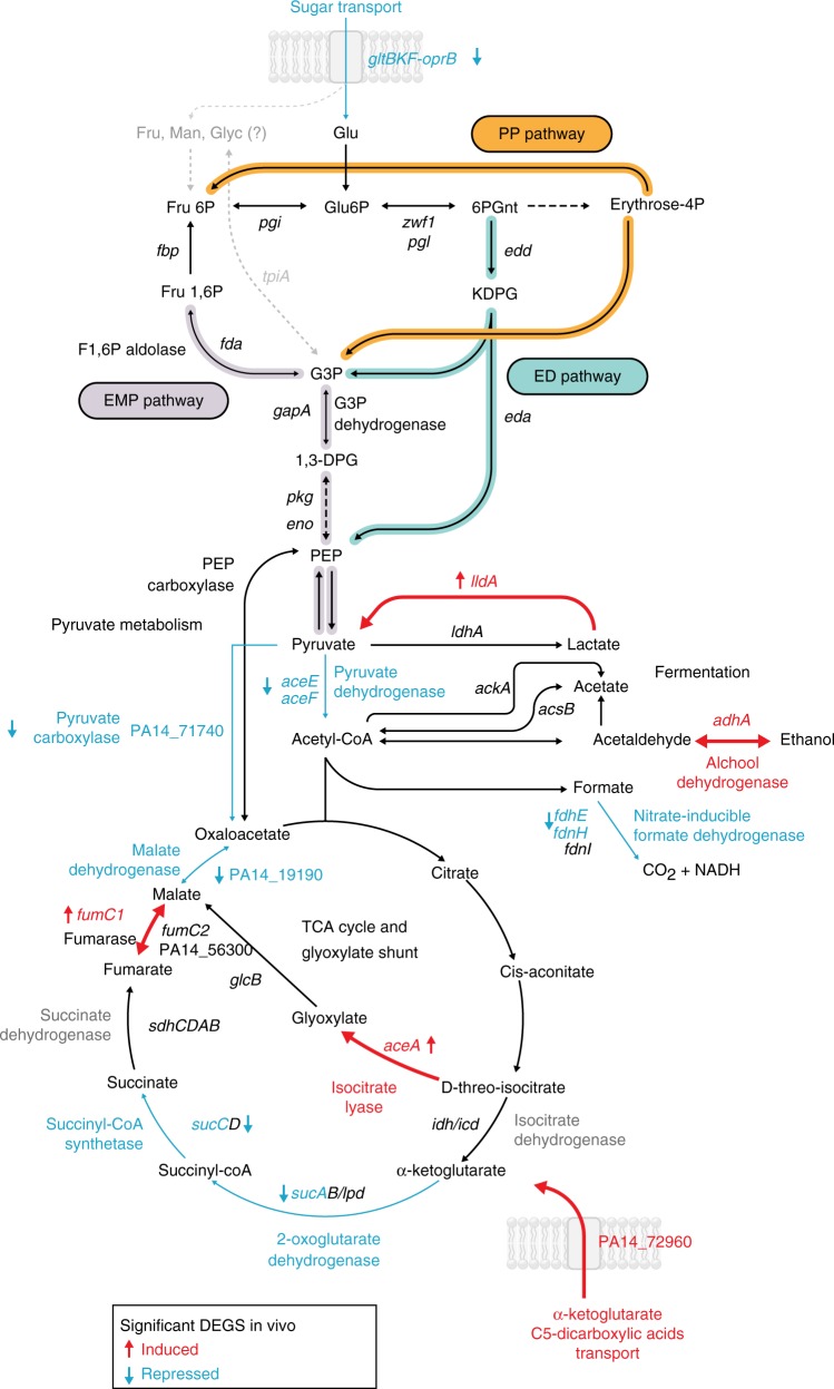 Fig. 4