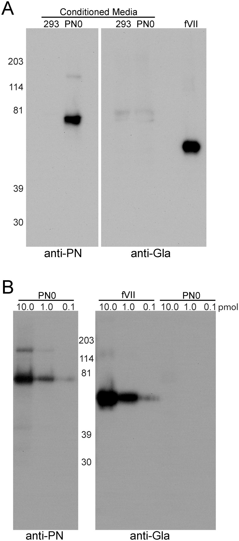 Fig 5