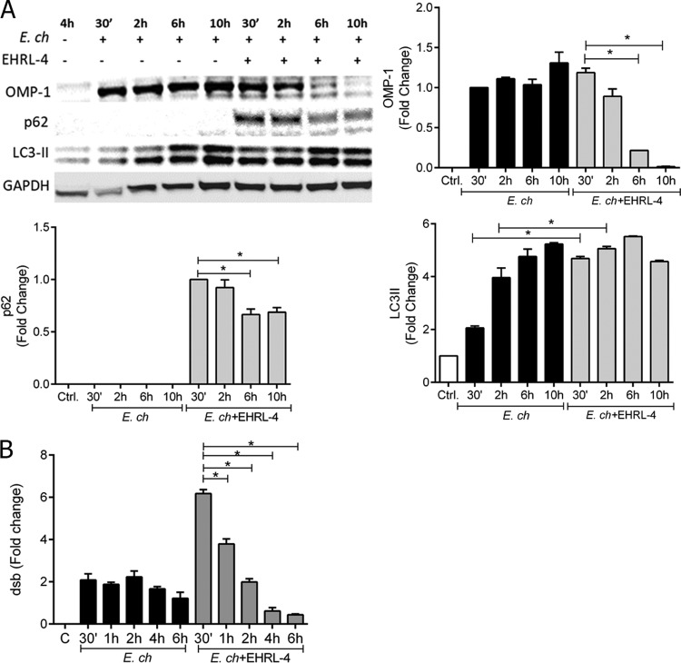 FIG 6