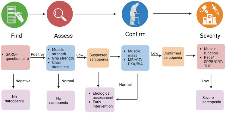 Figure 1