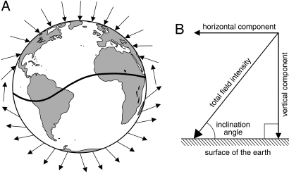 Fig. 1.