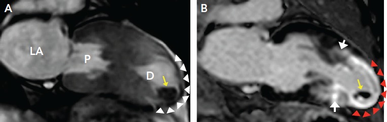 Figure 4: