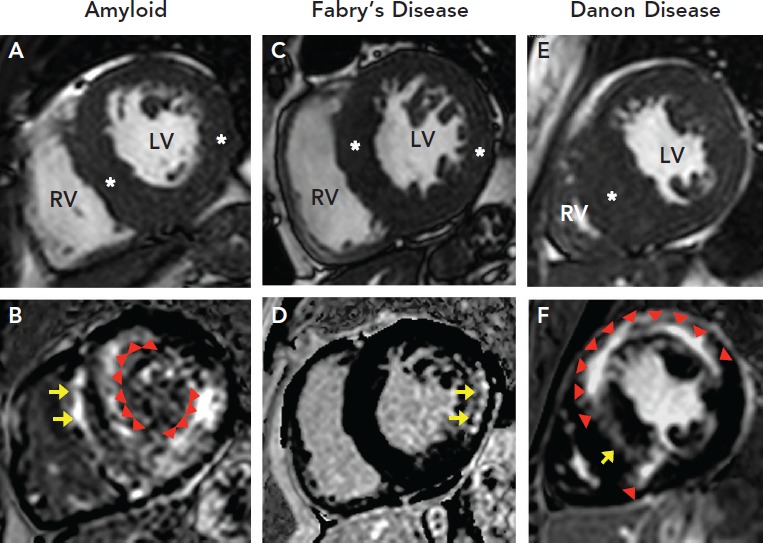 Figure 3: