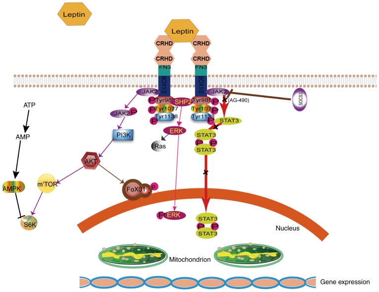 Figure 3.