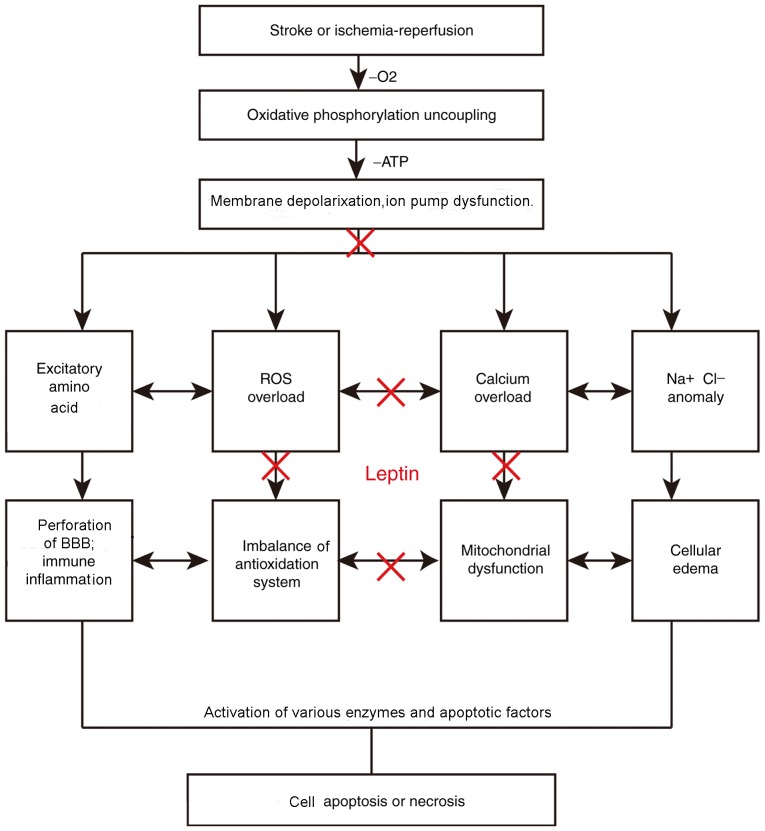 Figure 2.