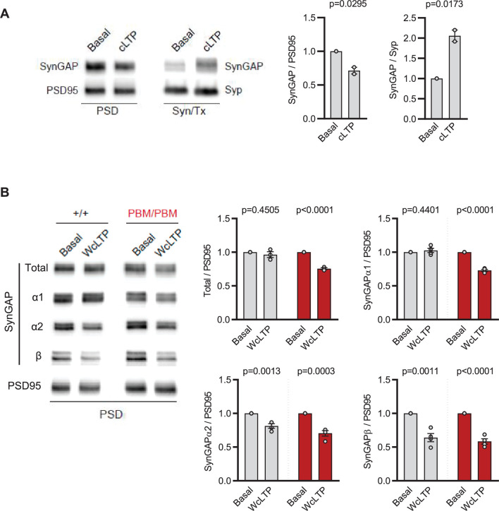 Figure 6—figure supplement 1.