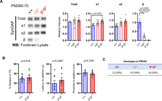 Figure 3—figure supplement 1.