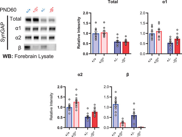 Figure 4—figure supplement 1.