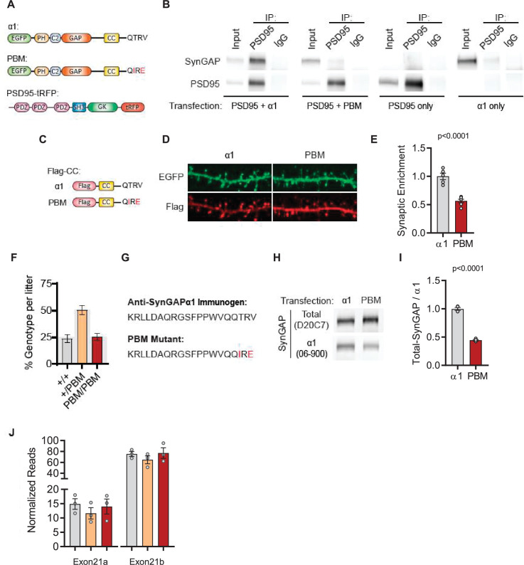 Figure 5—figure supplement 1.