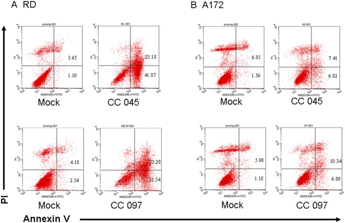 Figure 7