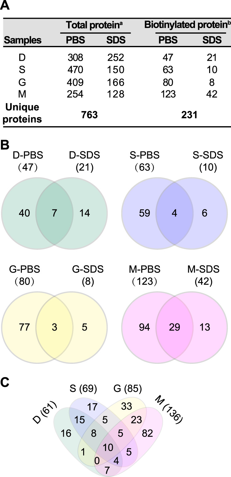 FIG 3