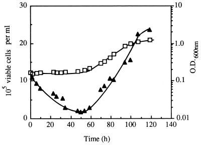 FIG. 6