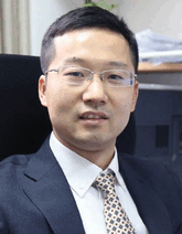 graphic file with name ADVS-11-2305608-g047.gif