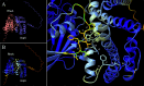 Fig 7