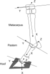 Fig. 1.