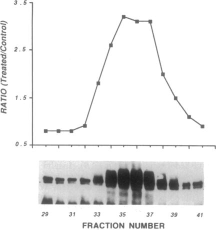 graphic file with name pnas01102-0497-a.jpg