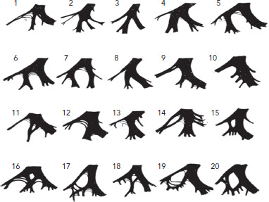 Figure 1: