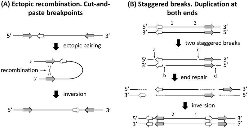 Box 1 – Figure 1