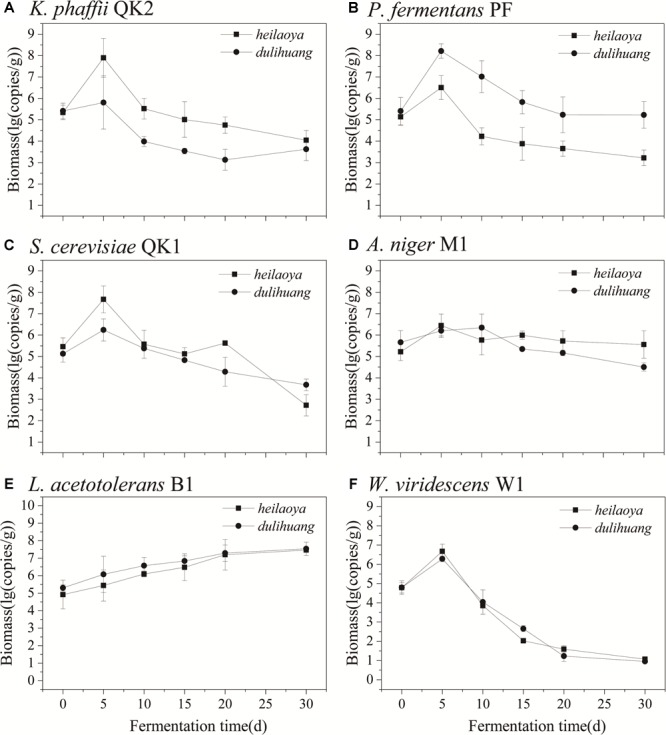 FIGURE 6