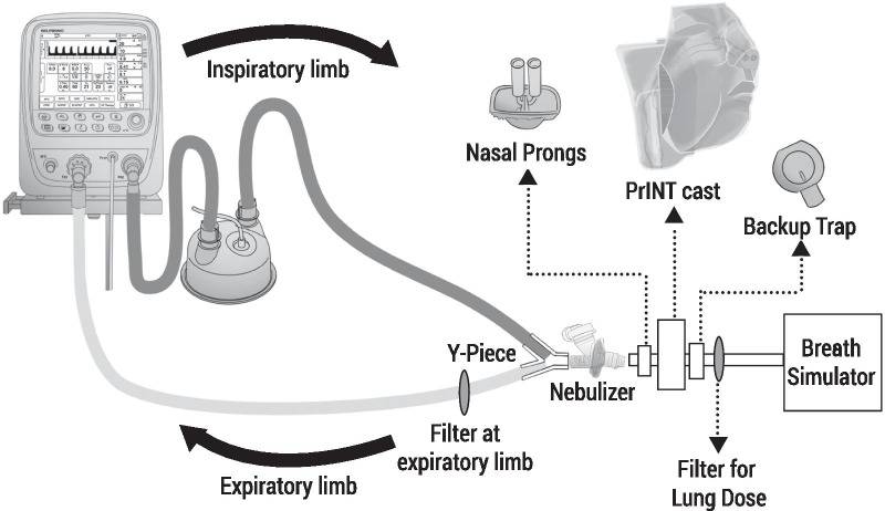 Fig. 8