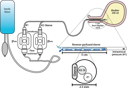 Fig. 1