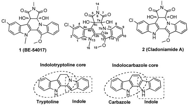 Figure 2