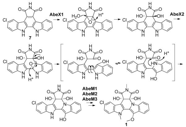 Figure 6