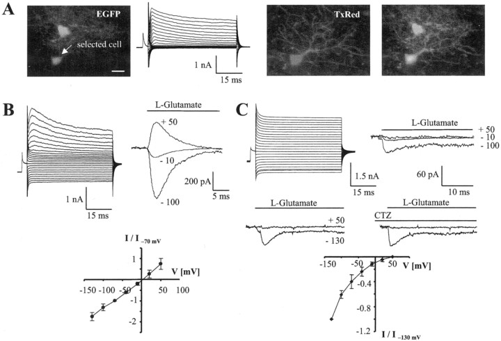 Fig. 4.