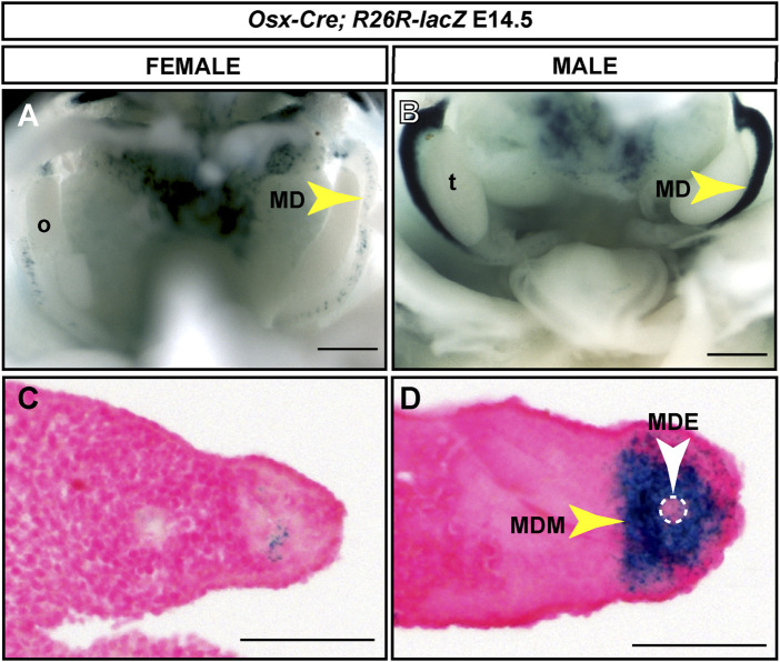 FIGURE 3