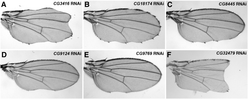 Figure 3 